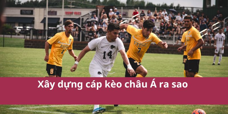 Bí Quyết Soi Kèo Châu Á Giúp Tăng Tỷ Lệ Thắng Cược 4 Xây dựng cáp kèo châu Á ra sao